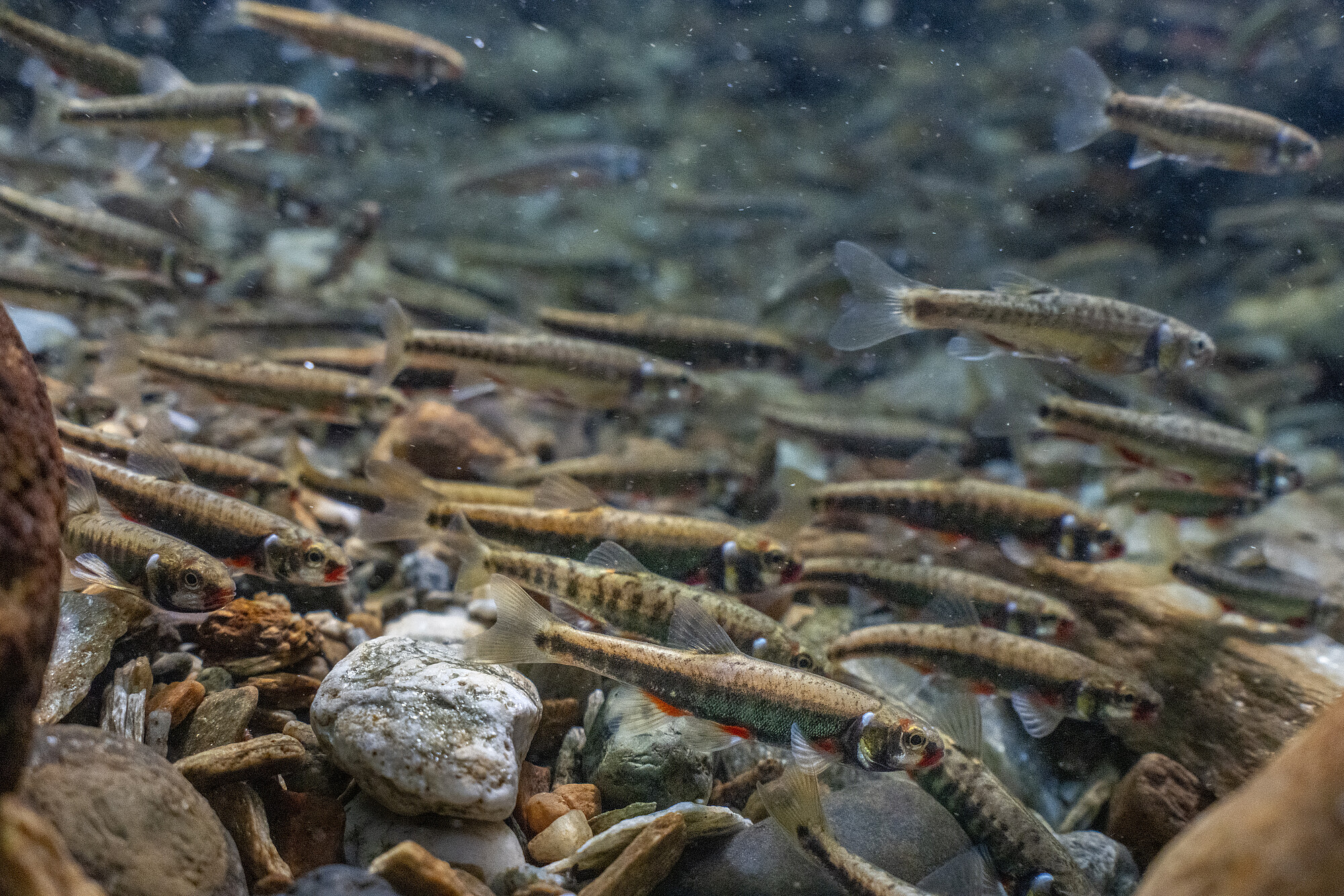 [Translate to Französisch:] 